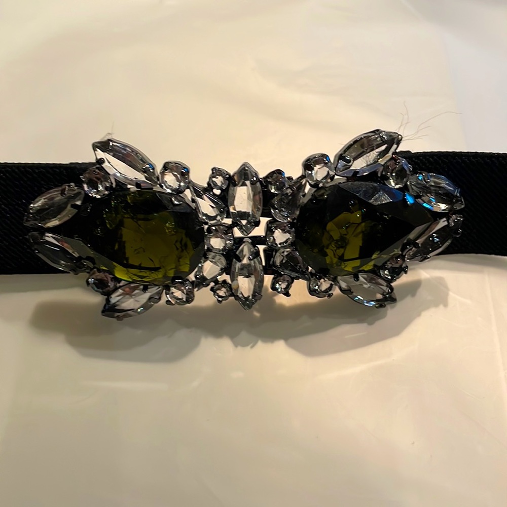 BCBG Belt